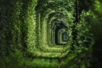Tunnel of Love Ukraine | Klevan Tours 2021